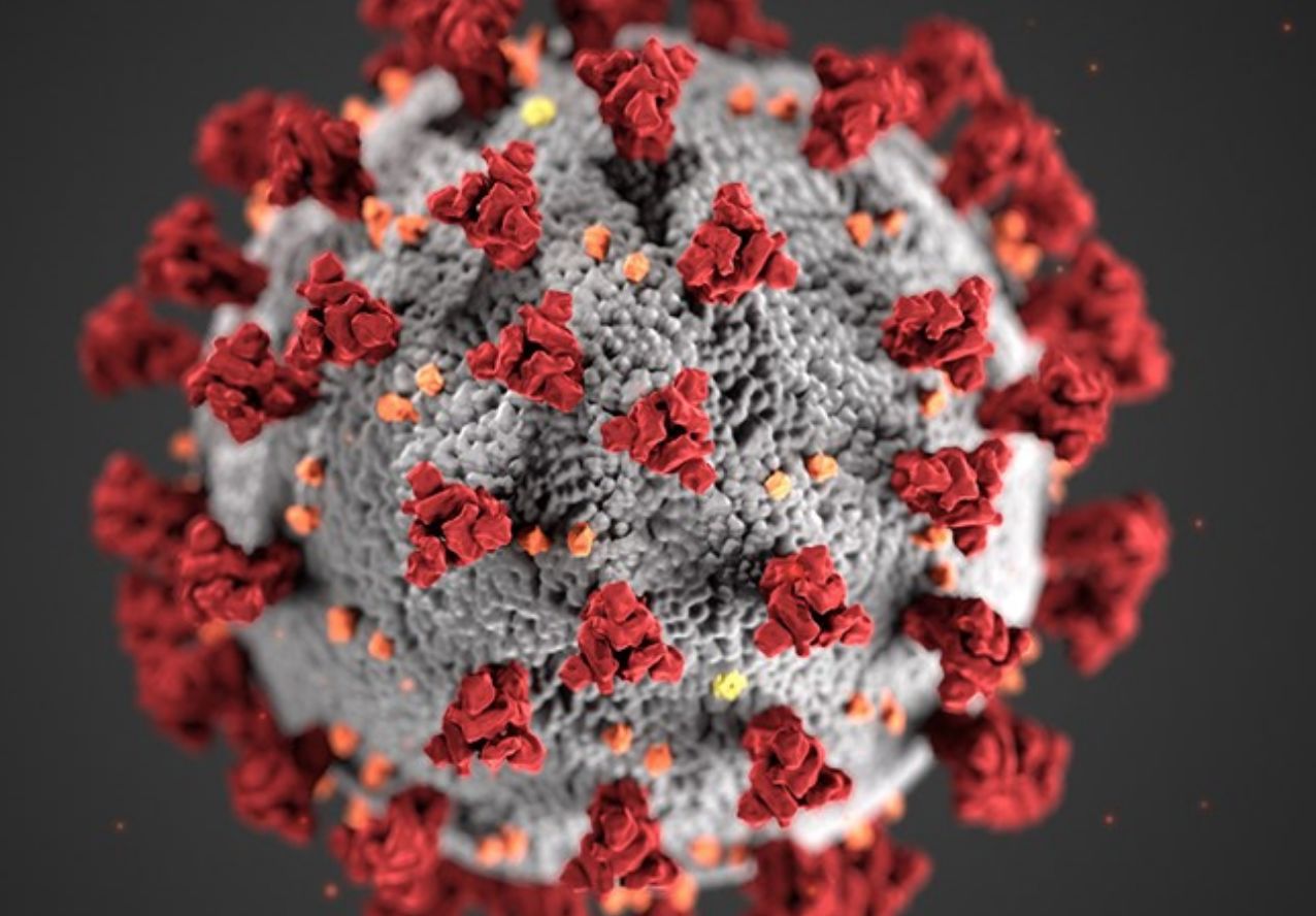 coronavirus image
